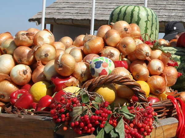 Еще одна ярмарка сельхозяйственной продукции откроется в Сочи